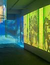 MoMA acquires Nalini Malani’s Gamepieces