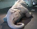 Art Basel Thumbnail