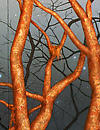 The Armory Show