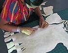 Transparent Studio: Priyanka Dasgupta Thumbnail