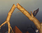 Armory Show Thumbnail