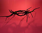 Armory Show Thumbnail
