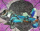 Zoo Art Fair Thumbnail