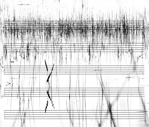 Black and White Scores, 2008 (001)
Suite of three digital prints on Arches paper
20 x 24 inches each
Edition of 5
SGI3015
