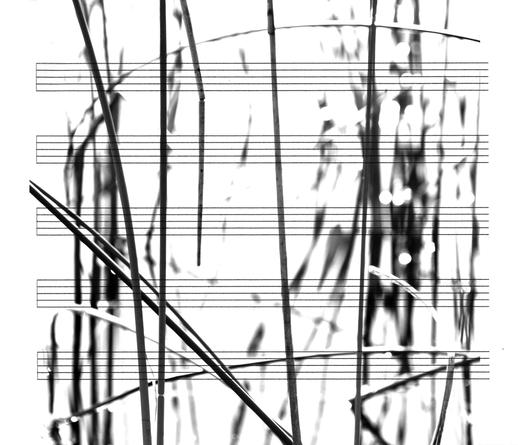Black and White Scores, 2008 (005)
Suite of three digital prints on Arches paper
20 x 24 inches each
Edition of 5
SGI3015