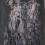 NICHOLAS MARSICANO
Duo
1956
Oil on canvas
63 x 51 in