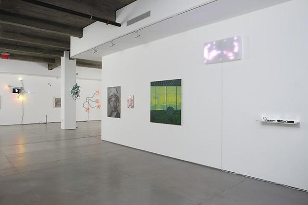 Love in Vein: Editions Fawbush projects & artists 2005-2010 installation view 6