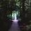 Column (in Light), Glashütte Eifel 2004, 2009
Photograph printed on vinyl
78 ¾ x 55 ¼ inches
Edition of 6