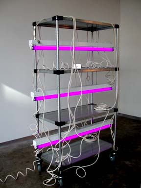 The Mystery of Things
2001
Black light bulbs, aluminum cart, electrical hardware
69 x 48 x 19 inches