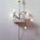 Wall Arrangement
2005
Porcelain sink, conduit, porcelain lamps, electrical materials, light bulbs, soil
72 x 32 x 20 inches