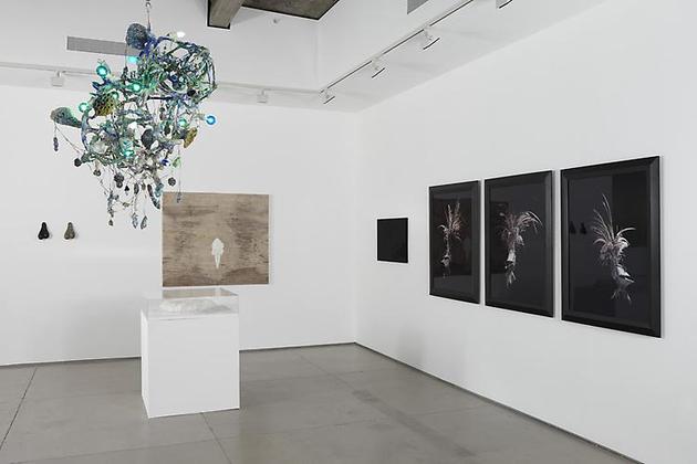Love in Vein: Editions Fawbush projects & artists 2005-2010 installation view 2