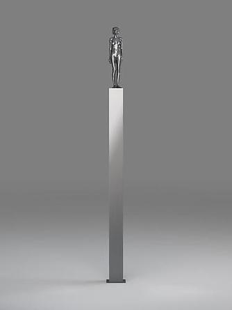 Femme Nue
2009
Bronze, titanium
79 x 8 x 8 inches
Edition of 5, 1 AP