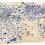 DOUGLAS NAVARRA
Untitled, 2013
Gouache, pencil & ink on found paper
11 x 17 inches
SGI2693