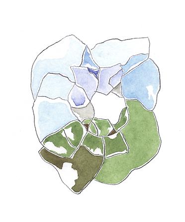 image 44