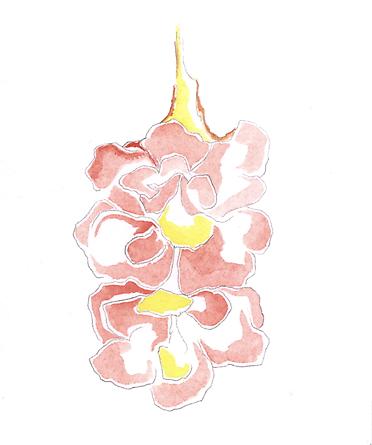 image 43
