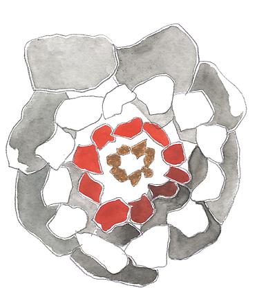 image 41