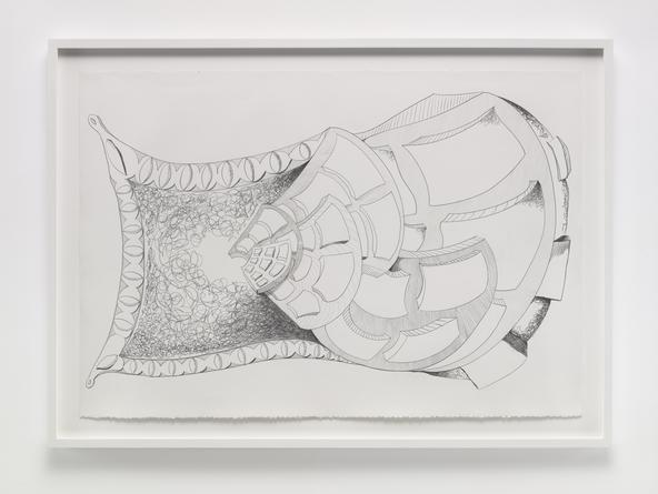 Constant Growth, 2014
Graphite on paper
30 x 44 inches
SGI3277