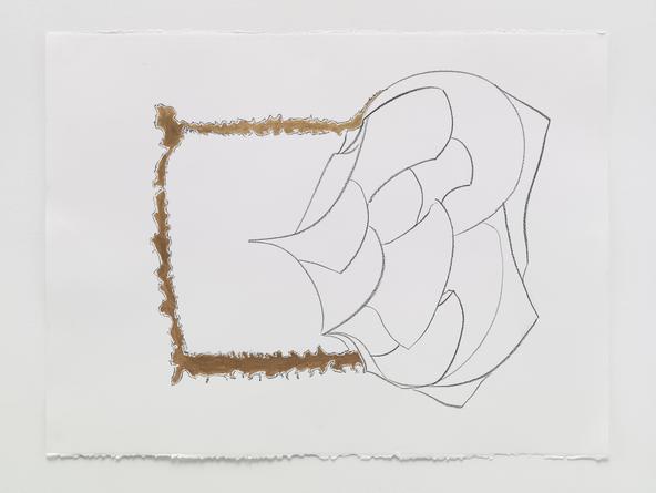 Momentary Expansion, 2015
Acrylic & charcoal on paper
22 1/2 x 30 inches
SGI3284