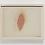 Clit/Pink, 1968
Pastel on paper
9 x 12 inches
GLG2356