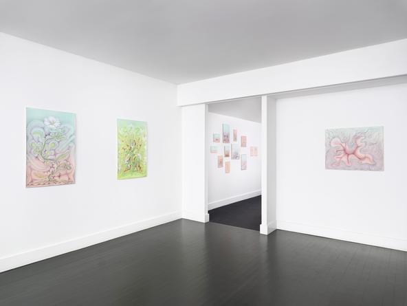 Installation view: Preventing the Sharp from Being Sharp