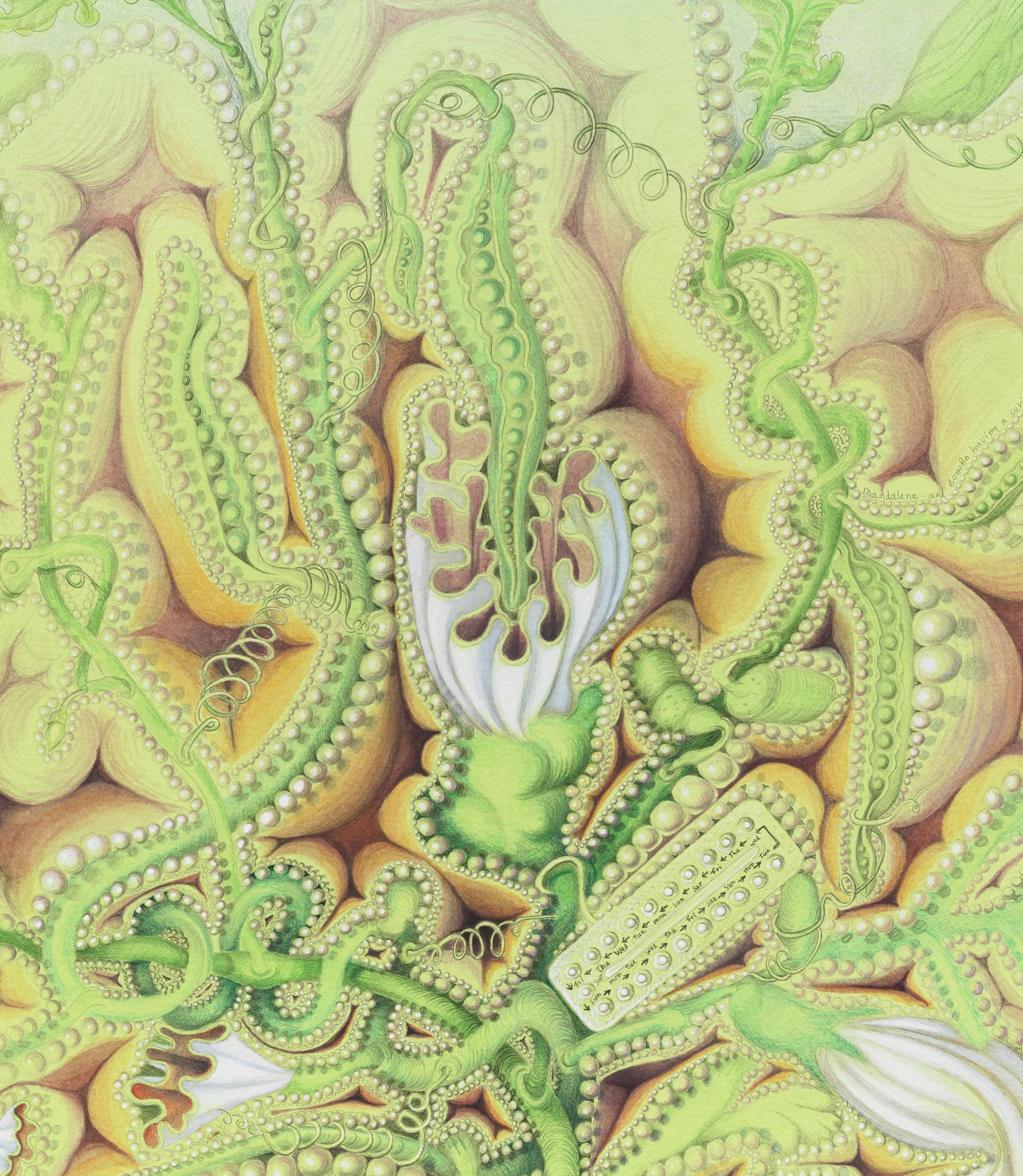 Growing the Seeds of Love (2), 2015
Acrylic, ink, gouache & colored pencil on paper
39 3/4 x 26 inches
SGI3050