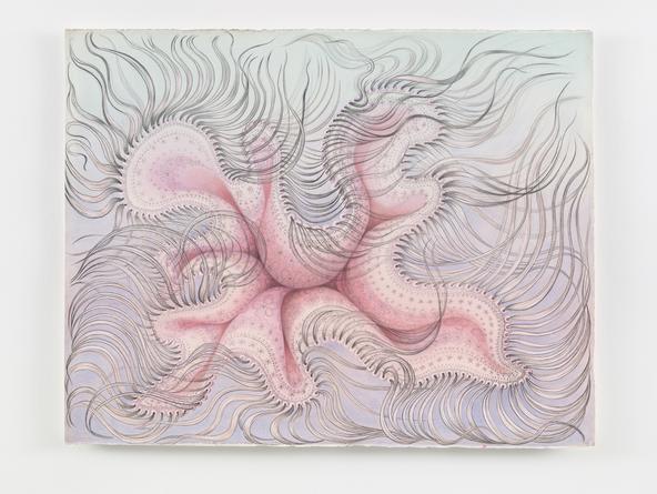 The Principle of Motion (2), 2015
Acrylic, colored pencil, ink & gouache on paper
26 x 33 inches
SGI3051