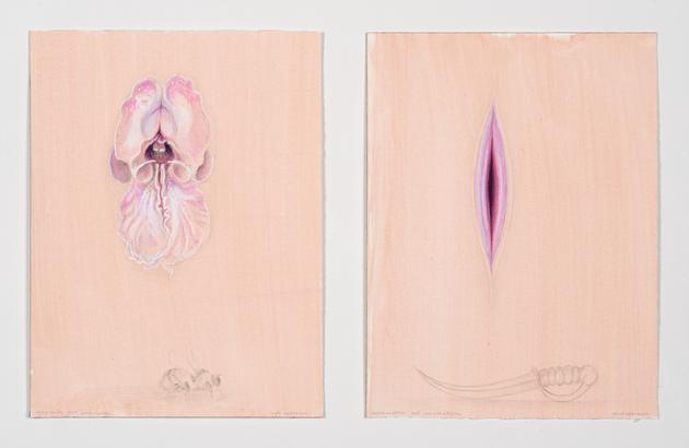 Soft Approach, Hard Approach, 2015
Diptych: Acrylic, colored pencil, ink & gouache on paper in two parts
12 x 9 inches, each sheet
SGI3142