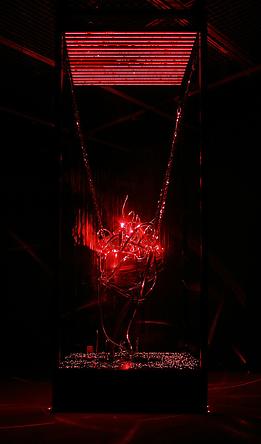 Undying Heart, 2009
Laser lights, engine parts, steel, iron, air pump, fog machine
122 x 44 x 44 inches
SGI2765