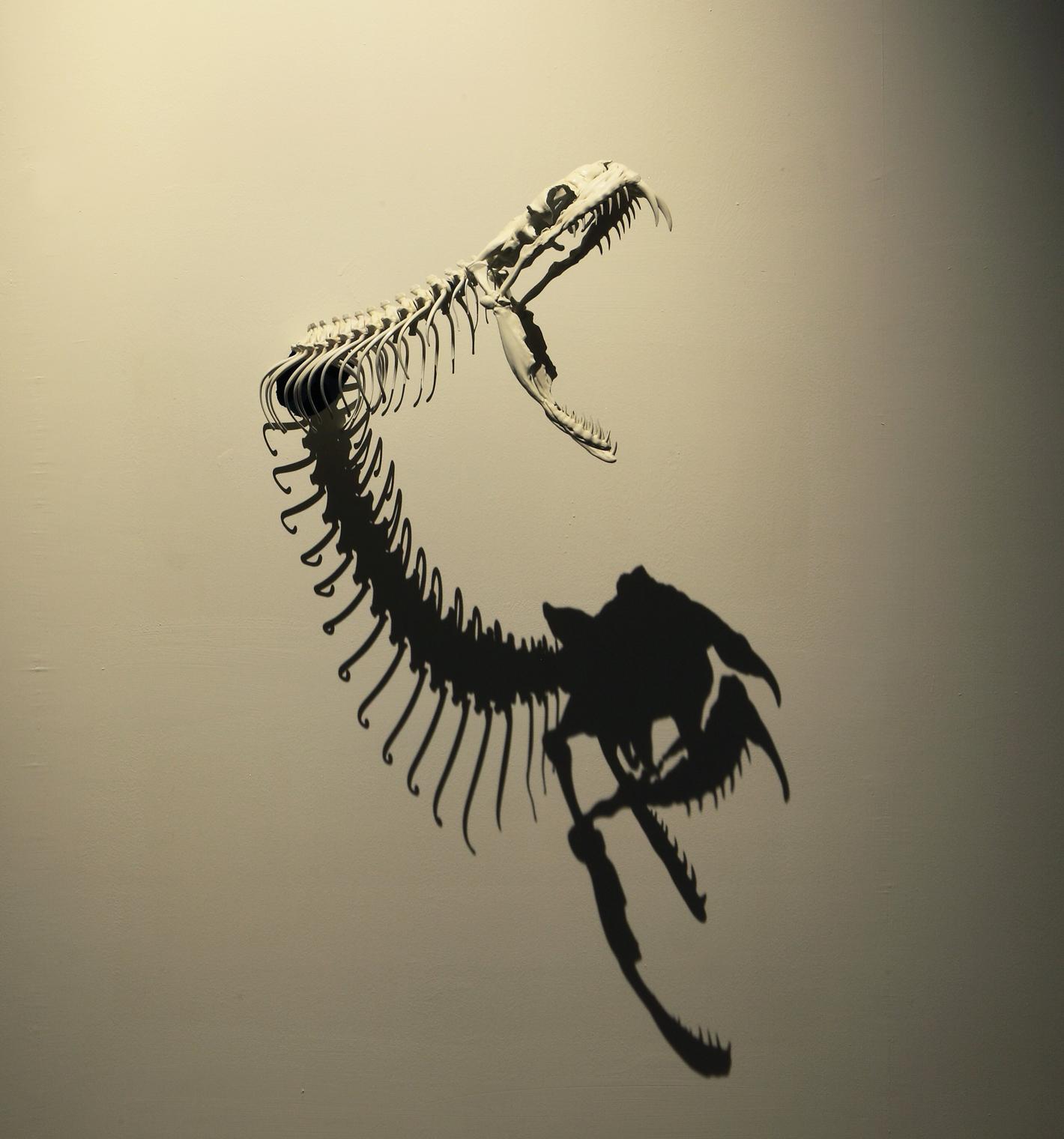 Greed, 2011
Stainless steel, aluminum-plastic board
78 3/4 x 177 x 98 1/2 inches
SGI2768