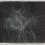 Untitled, 2014
Ink on mylar
15 1/2 x 20 inches
SGI2870