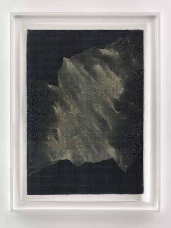Untitled, 2015
Ink on mylar
43 x 31 1/2 inches
SGI2991