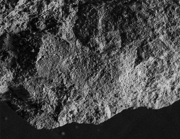 Le Vol D'Orgueil, 2009
HD video, b&w, stereo, 1.43 minutes
SGI2810