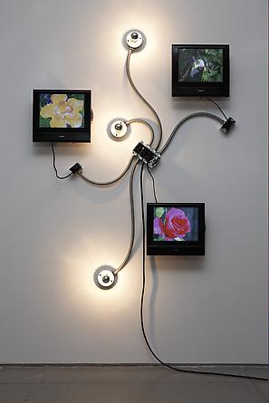 MATTHEW McCASLIN
Courtyard Cornucopia, 2008
3 DVDs, 3 TVs/DVD players, mirrored light bulbs, porcelain fixtures, flexible conduit, electrical hardware & wiring
72 x 60 x 4 inches, approximately