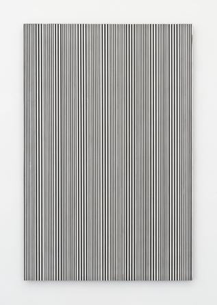 Untitled, (#59), 2015
enamel on canvas
48 x 32 inches