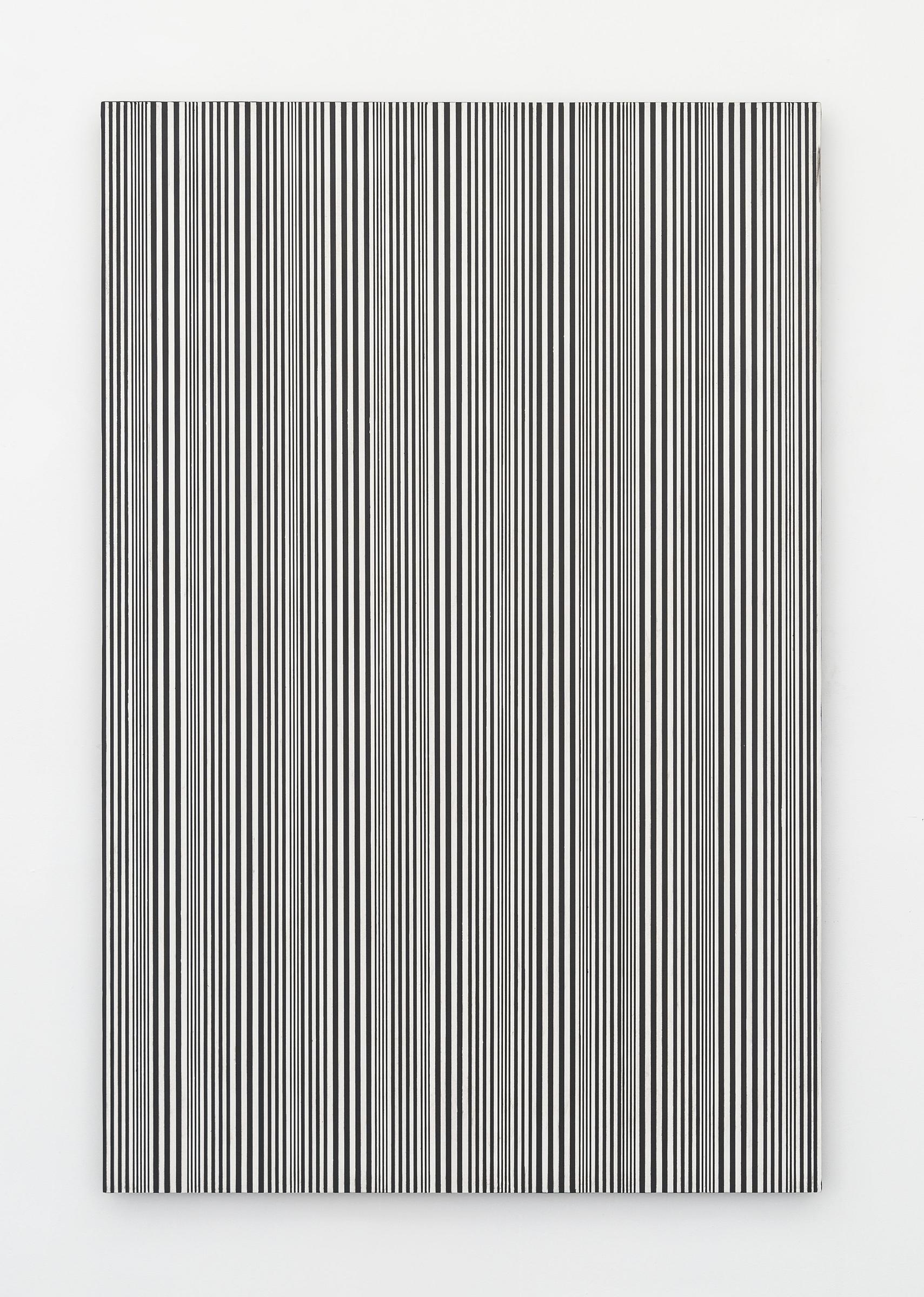 Untitled, (#59), 2015
enamel on canvas
48 x 32 inches