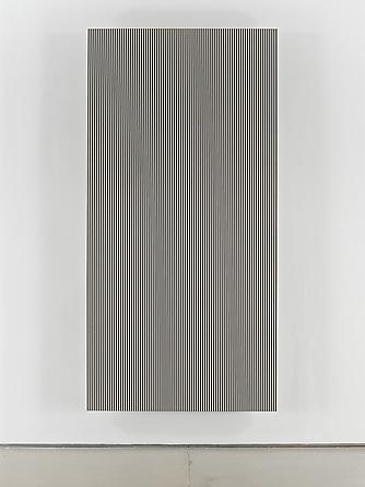 Untitled (#3), 1989
Enamel on aluminum
96 x 48 inches
GLG2051