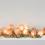 What, 2014
Carved salt crystals, river rocks, electrical wiring 
Dimensions variable
SGI2861