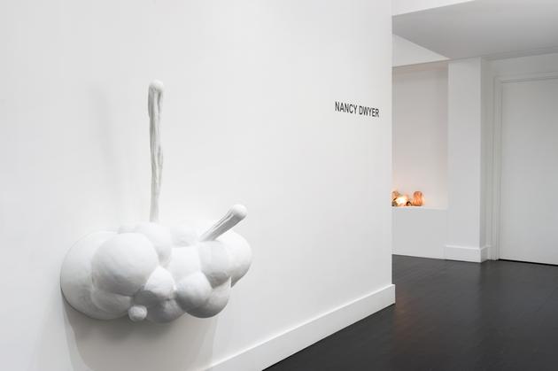 Nancy Dwyer, Installation view
