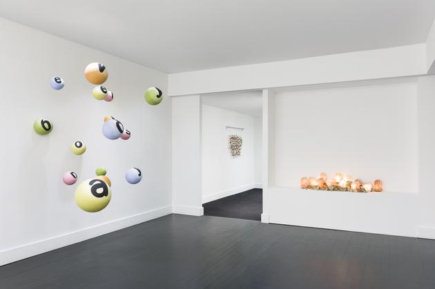 Nancy Dwyer, Installation view