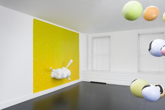 Nancy Dwyer, Installation view
