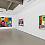 Installation view: Todd James, King of the Wild Frontier