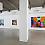 Installation view: Todd James, King of the Wild Frontier