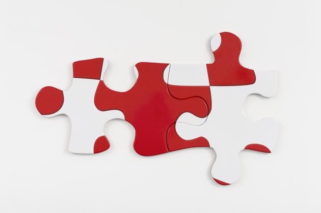 Puzzle Puzzle, 2015
Printed vinyl laminate mounted on MDF in two parts
32 x 51 x 1 inches
SGI3072