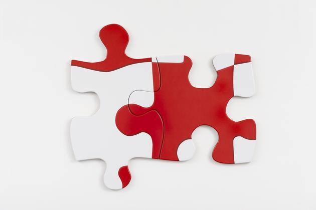 Puzzle Puzzle, 2015
Printed vinyl laminate mounted on MDF in two parts
35 x 39 x 1 inches
SGI3073