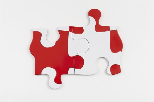 Puzzle Puzzle, 2014
Printed vinyl laminate mounted on MDF in two parts
34 x 40 1/2 x 1 inches
SGI3074