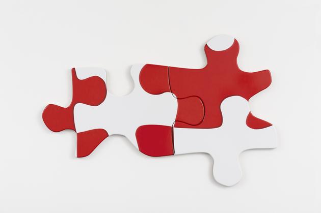 Puzzle Puzzle, 2015
Printed vinyl laminate mounted on MDF in two parts
31 1/2 x 48 x 1 inches
SGI3087