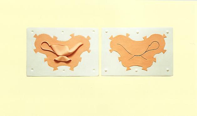 Gravy Boat, 1993
Silicone rubber, plaster
13 x 25 x 4 inches