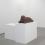 CARL D'ALVIA	
Calf, 2004
Painted resin
2004
17 x 33 x 15 inches
Edition of 2