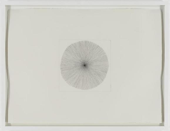 Dogged Seeing Eye
2005
Graphite on paper
22 1/4 x 30 1/4 inches
25 1/4 x 32 3/4 inches (framed)