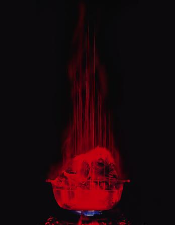 Escaping Soul of Holy Meal, 2007
Taxidermied sheep, glass, lasers, coal, gas, water
157 1/2 x 19 x 19 inches